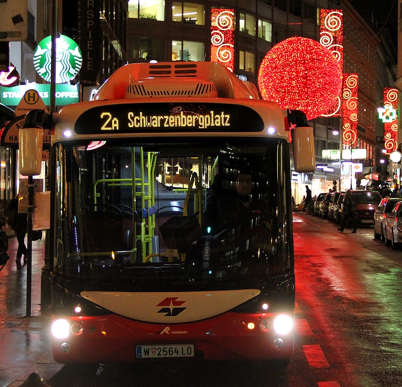 Weihnachtsbeleuchtg 2013-005