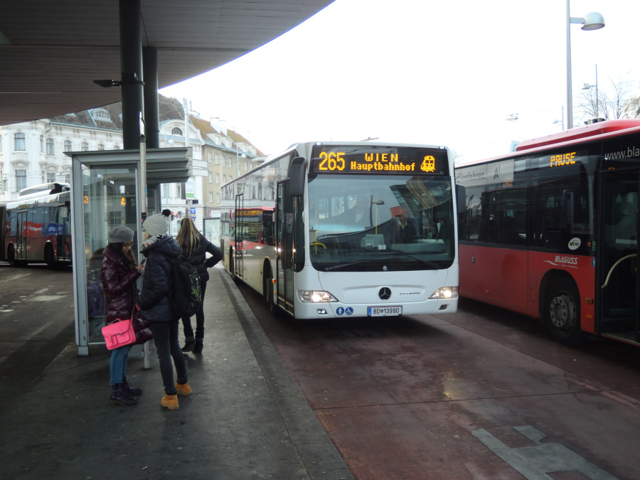 265 Liesing