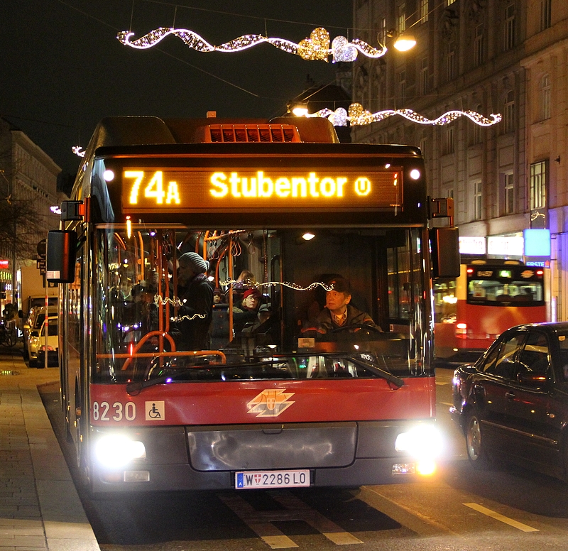 Weihnachtsbeleuchtg 2013-010