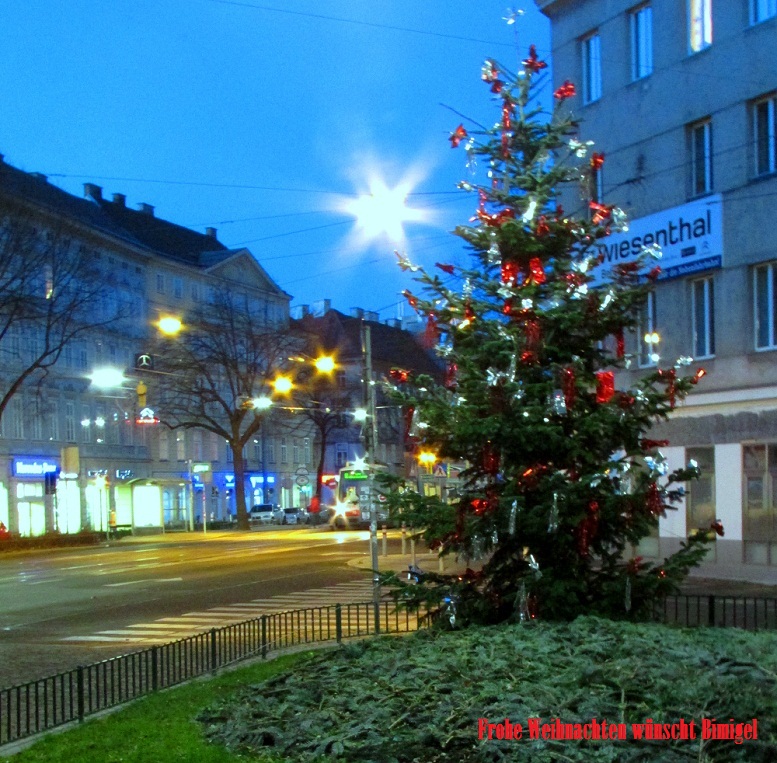 Frohe Weihnachten 2013!
