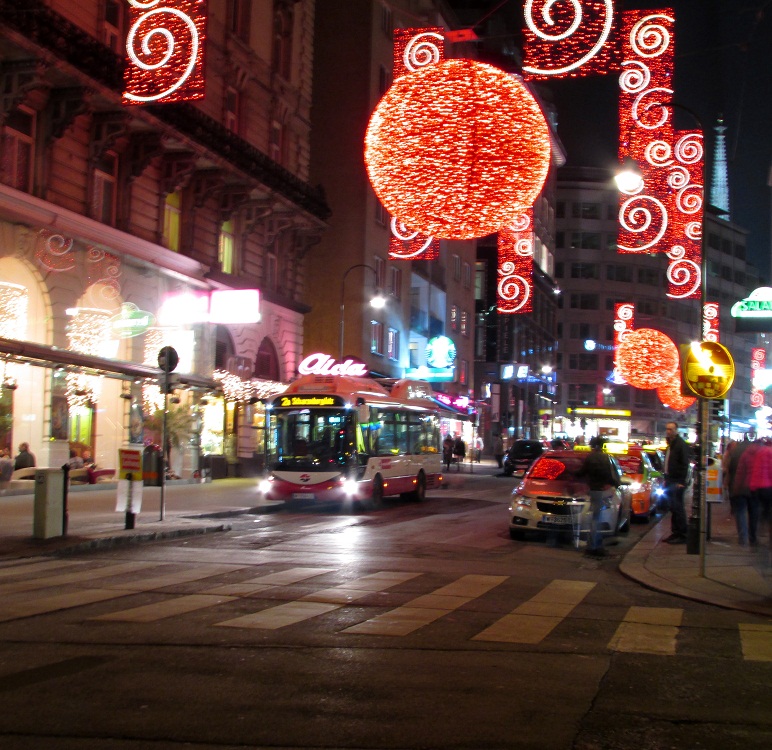 Weihnachtsbeleuchtung 10