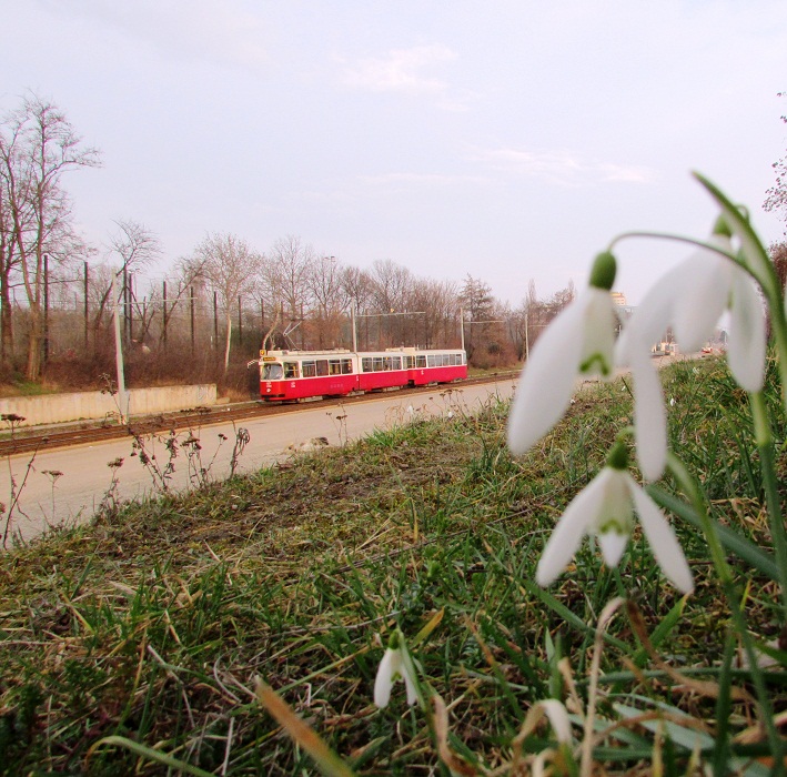 Frühling in Sicht? 1