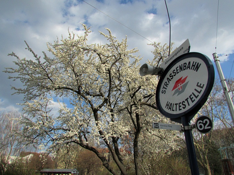 Frühling in Sicht? 2