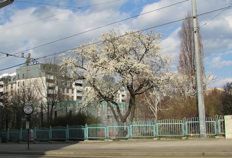 Frühling in Sicht? 3