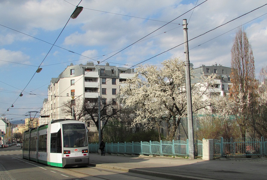 Frühling in Sicht? 4