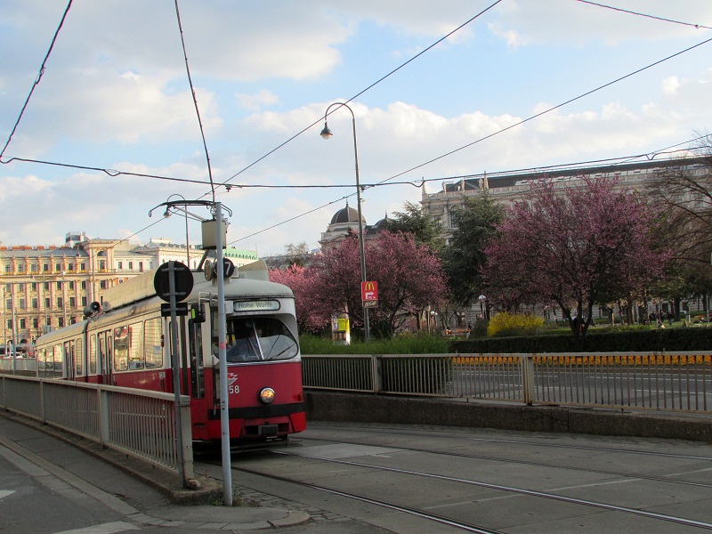 Frühling in Sicht? 7