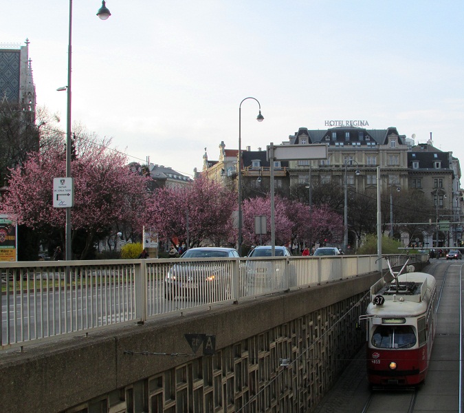 Frühling in Sicht? 8