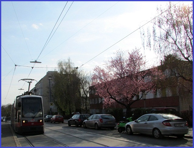 Frühling in Sicht? 12