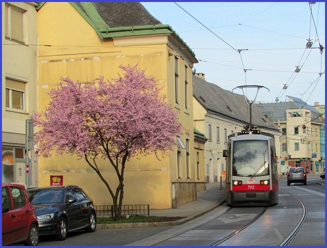 Frühling in Sicht? 13