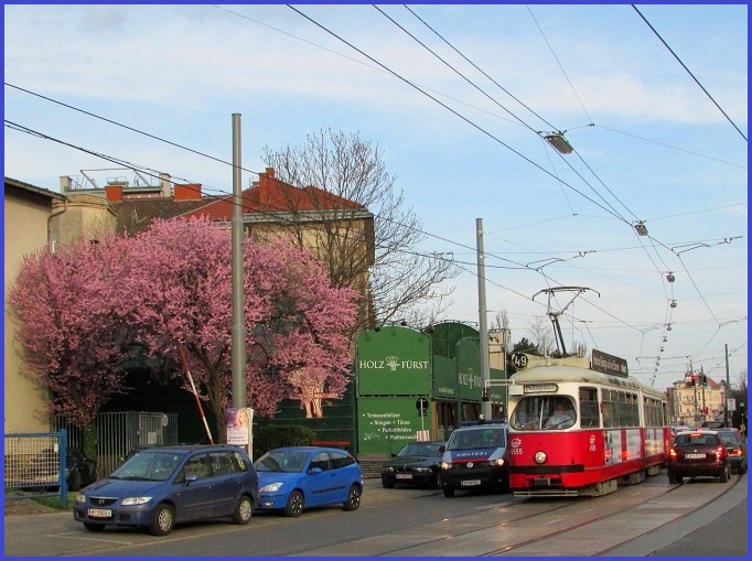 Frühling in Sicht? 15