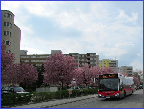 Frühling in Sicht?