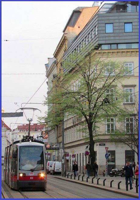 Frühling in Sicht?