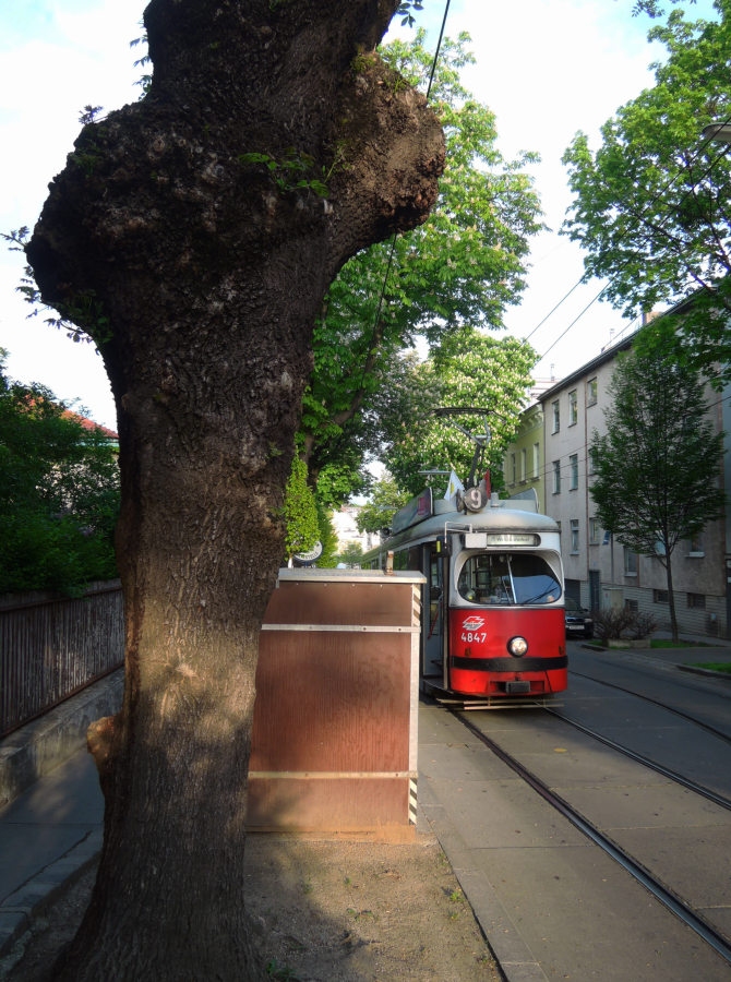 9er Wallrißstraße E1 Bild2