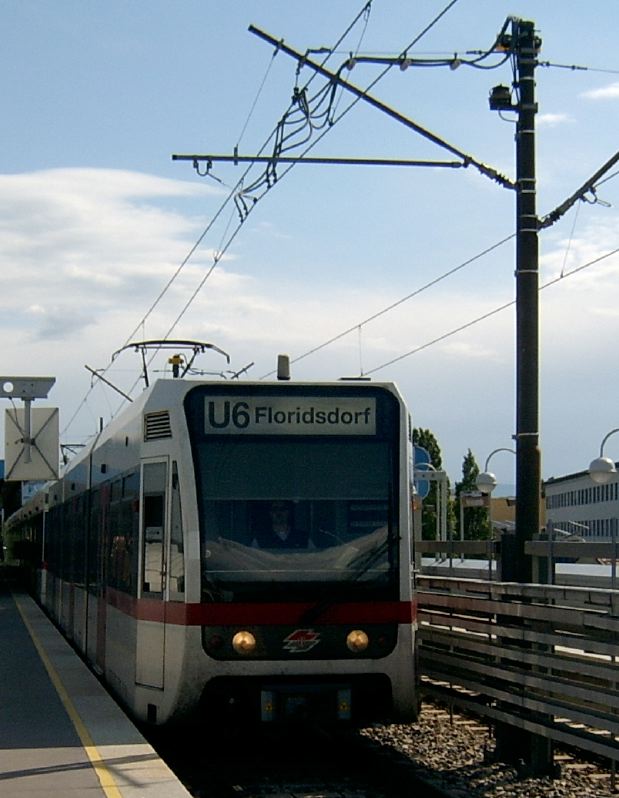 U6 T
