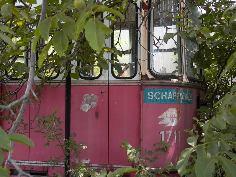 Straßhof1 4