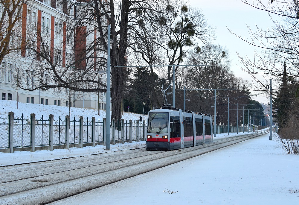 Schnee Dezember 2014