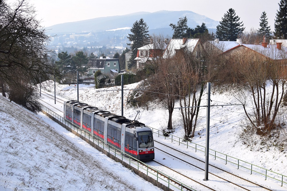 Schnee Dezember 2014