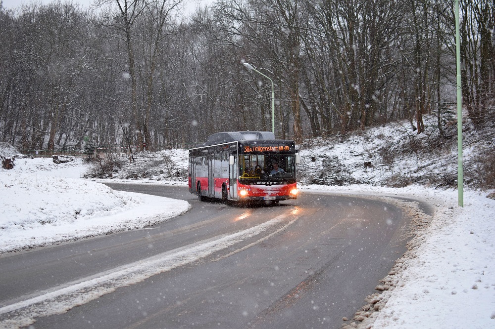 Schnee Jänner 2015