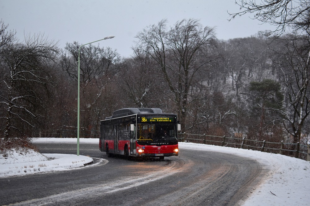 Schnee Jänner 2015