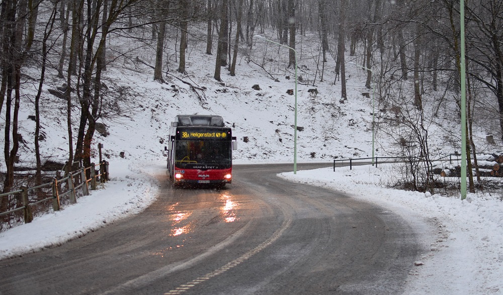 Schnee Jänner 2015