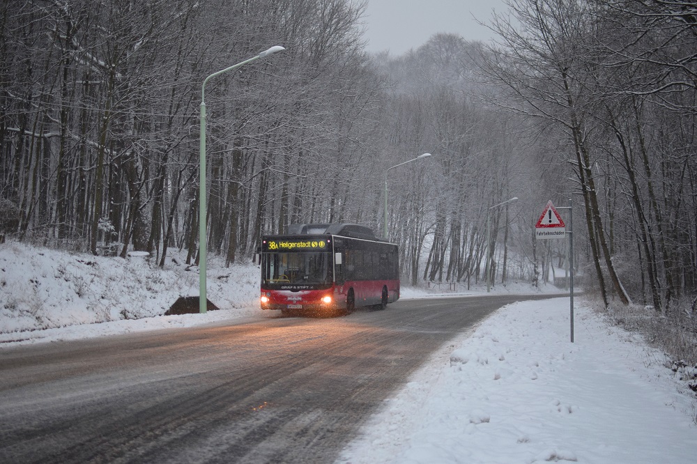 Schnee Jänner 2015