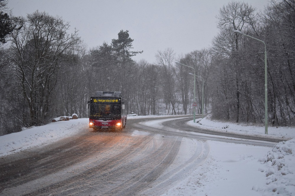 Schnee Jänner 2015