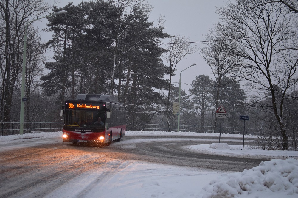 Schnee Jänner 2015