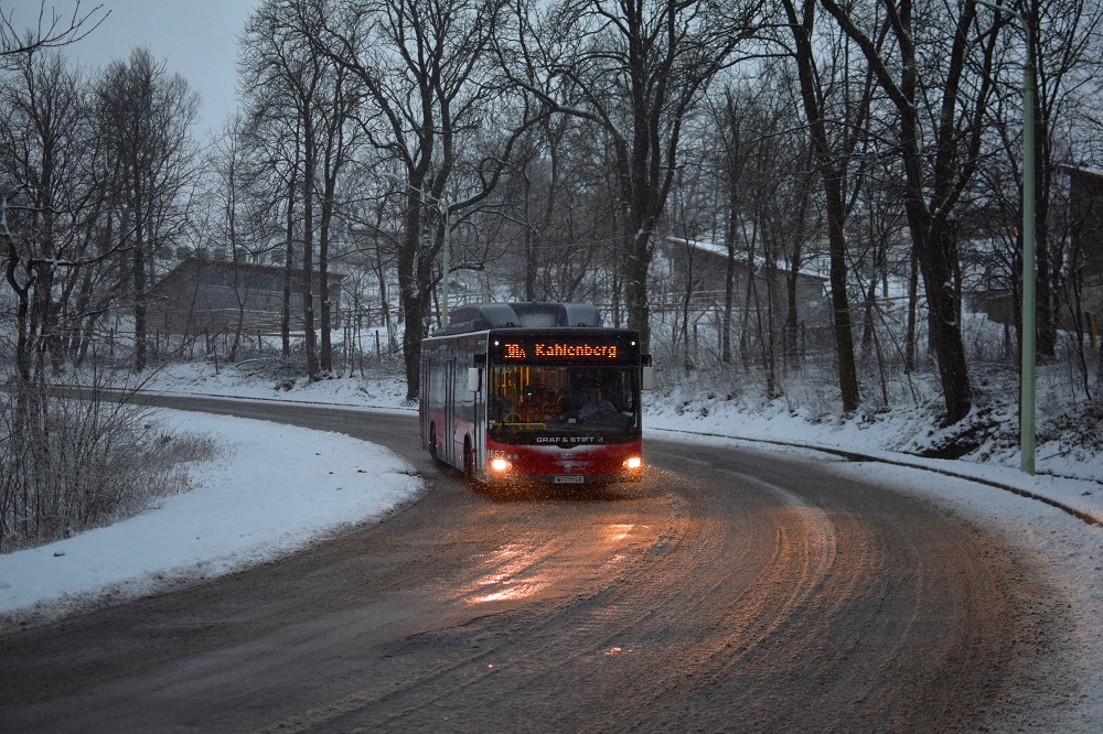 Schnee Jänner 2015