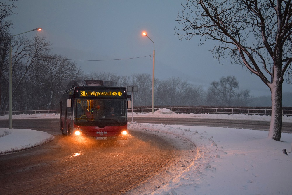 Schnee Jänner 2015