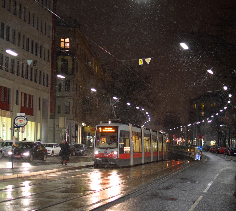 Schnee Jänner 2015