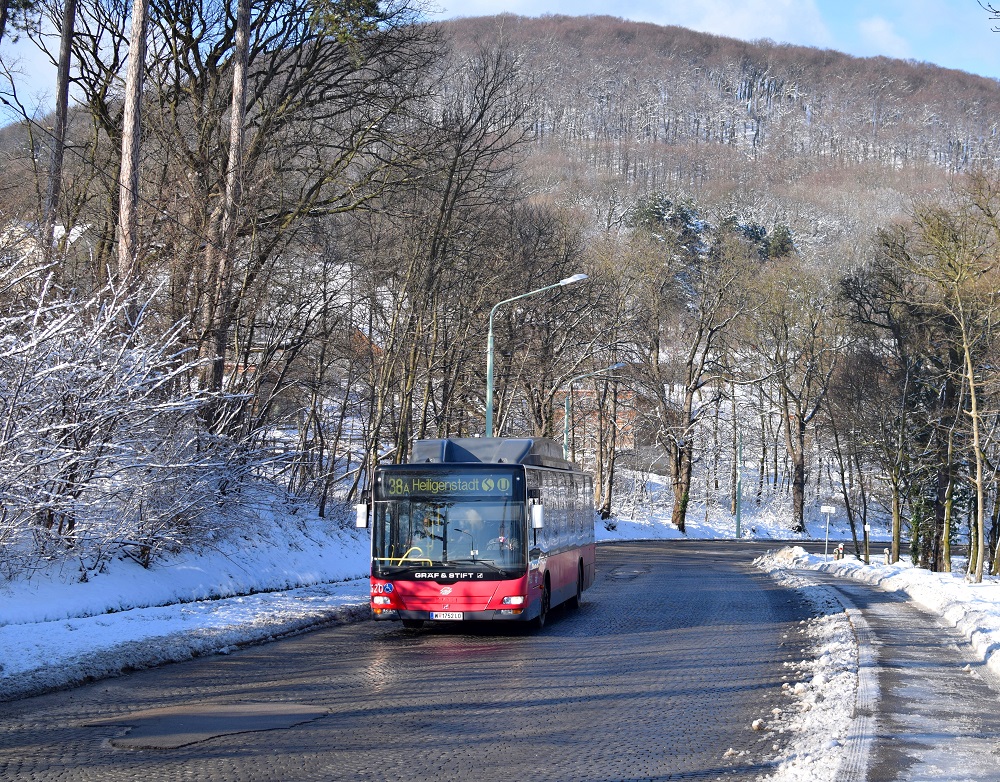 Schnee Jänner 2015