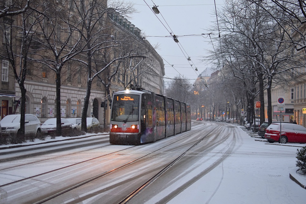 Schnee Jänner 2015