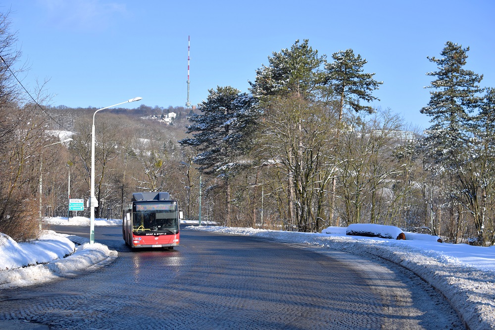 Schnee Jänner 2015