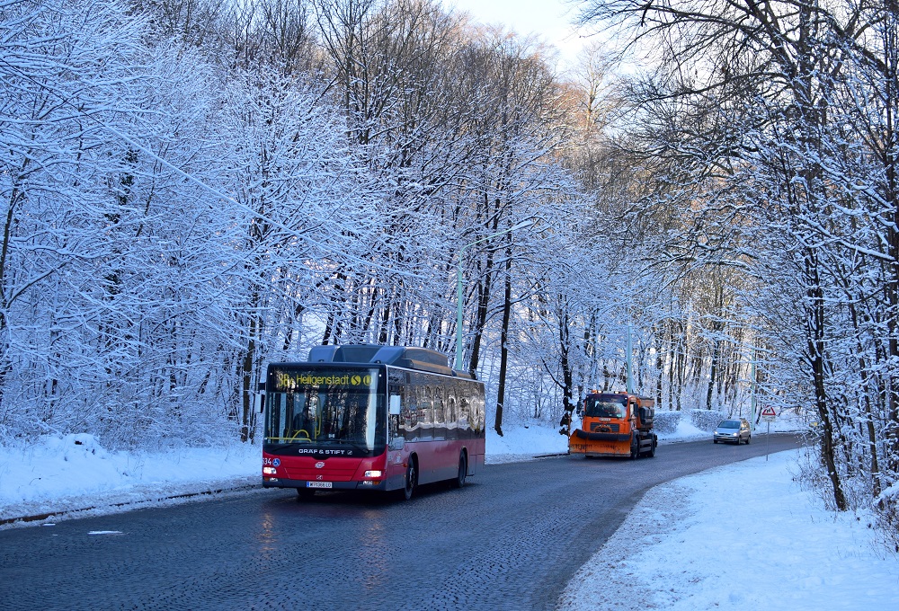 Schnee Jänner 2015