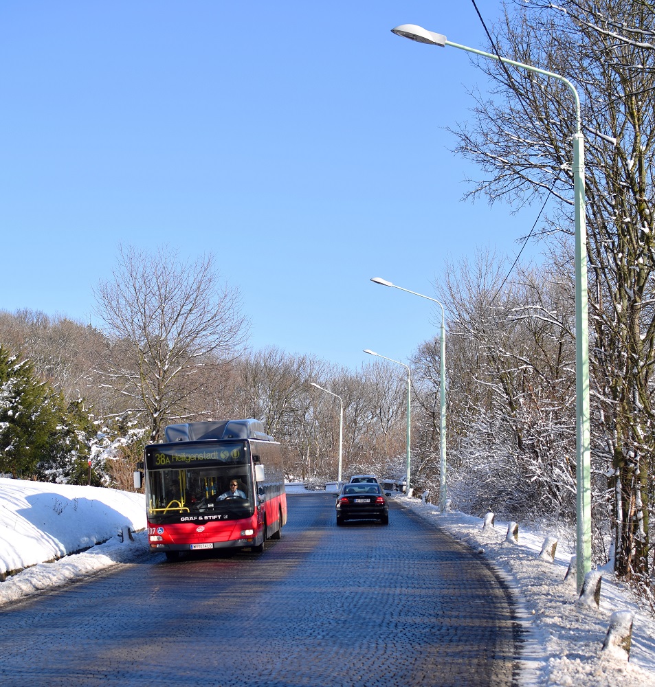 Schnee Jänner 2015