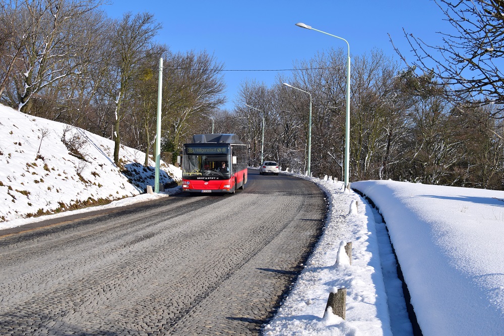 Schnee Jänner 2015