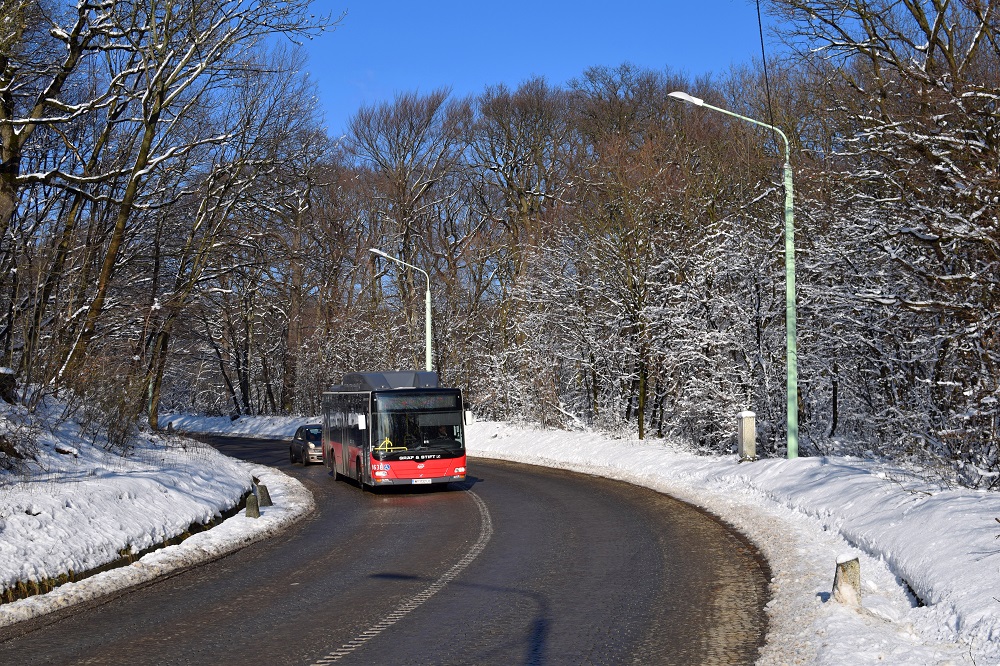 Schnee Jänner 2015