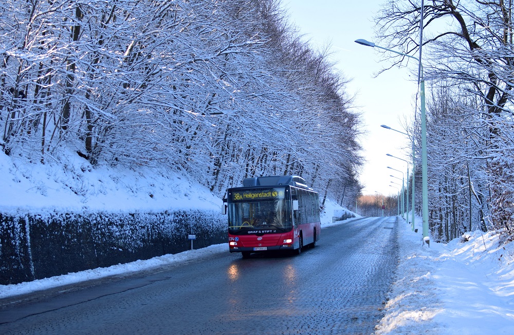 Schnee Jänner 2015