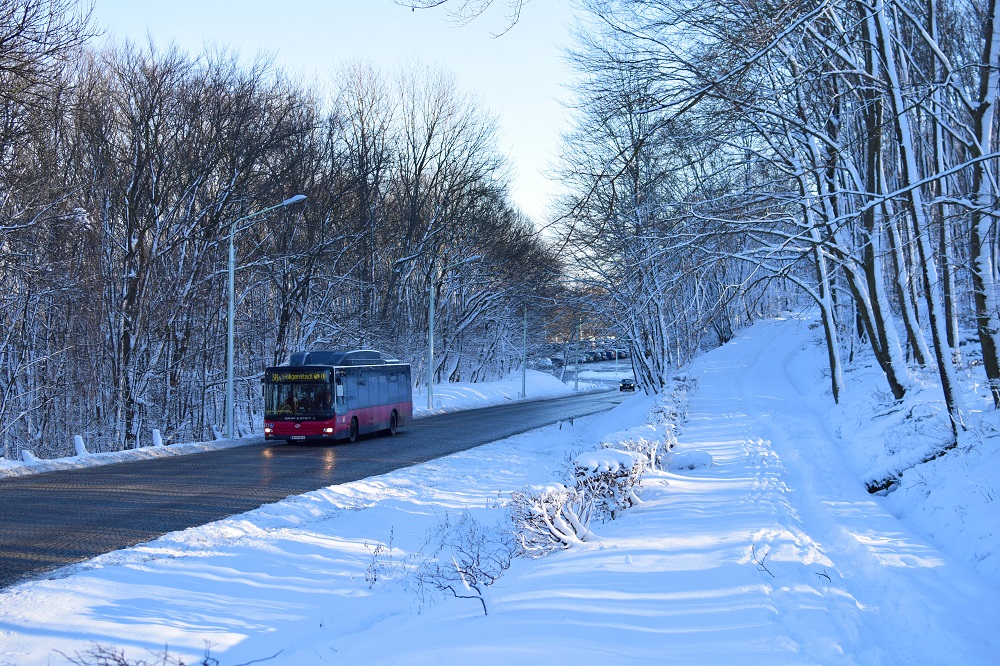 Schnee Jänner 2015