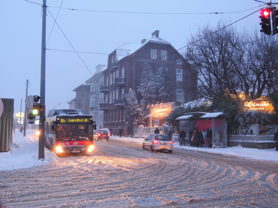 10A Czartoryskigasse