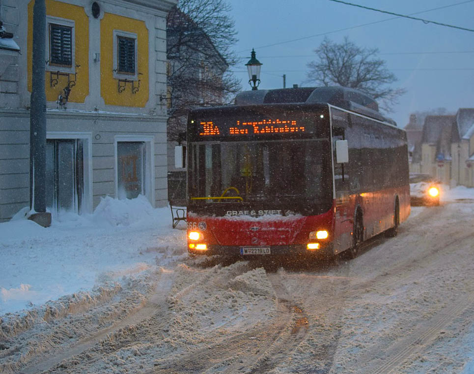 Schnee Februar 2015