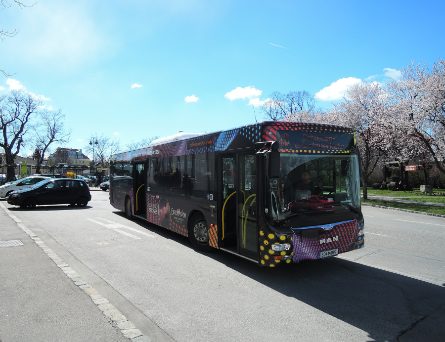 NÖ SEV Südbahn 2015 Bild 1