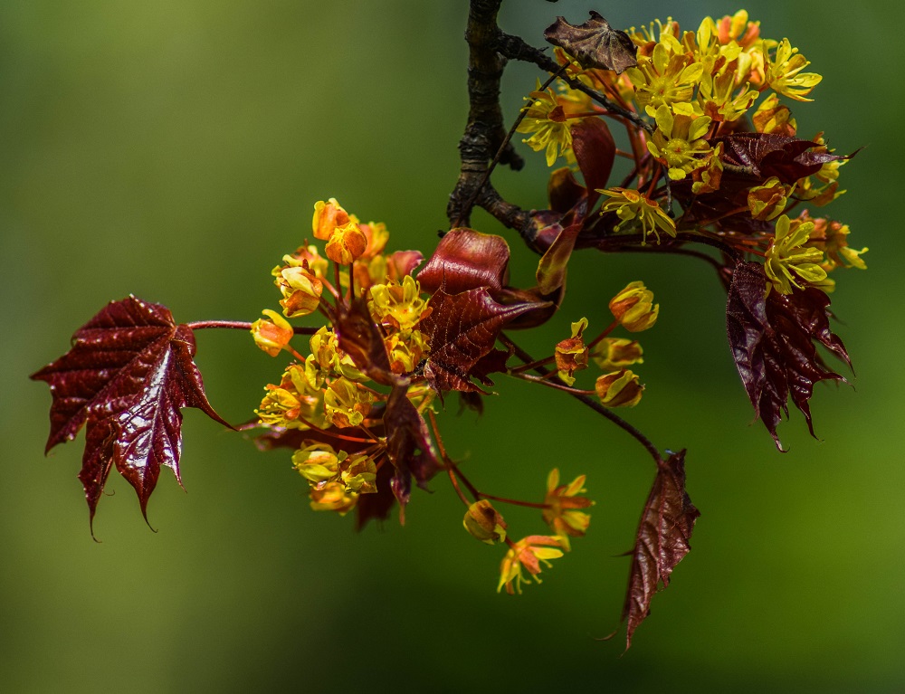 Frühling 2015