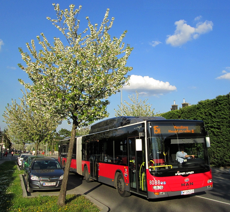 Frühling 026