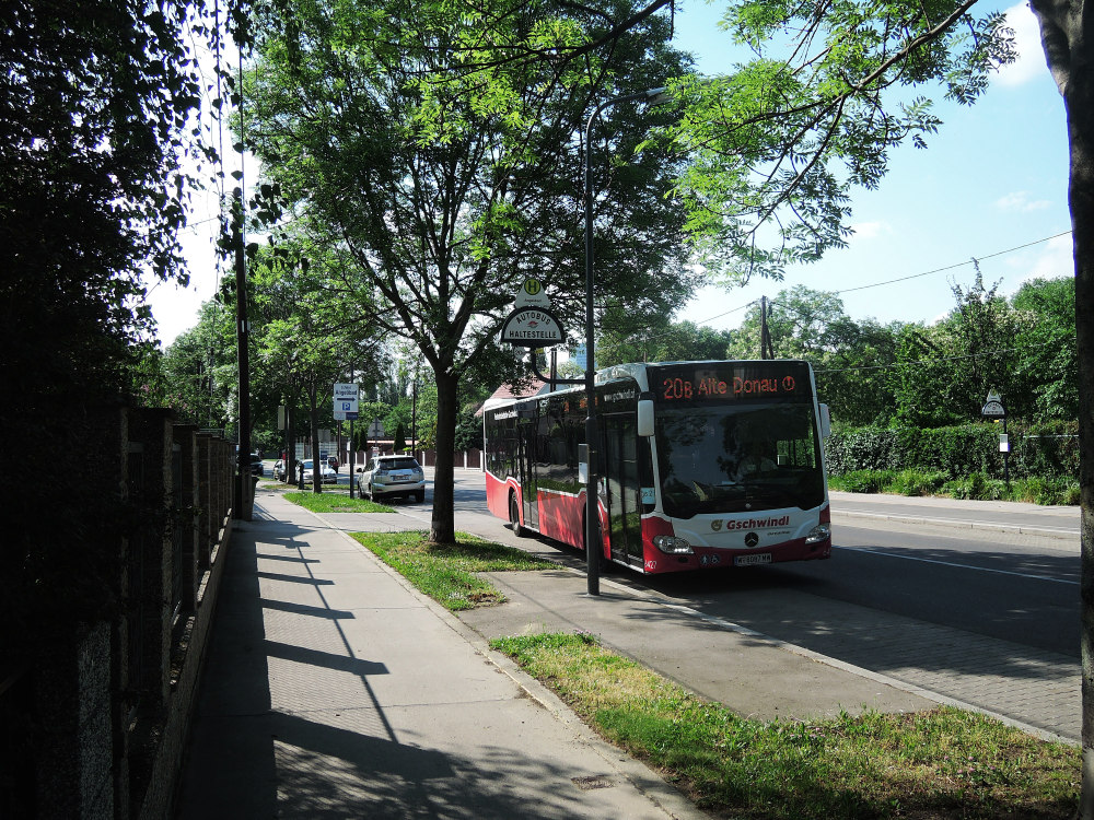 20B Angelibad