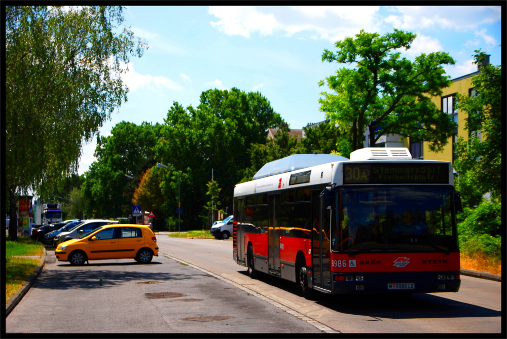 2014-06-27/8986/30A/Ödenburger Straße, Schulzentrum