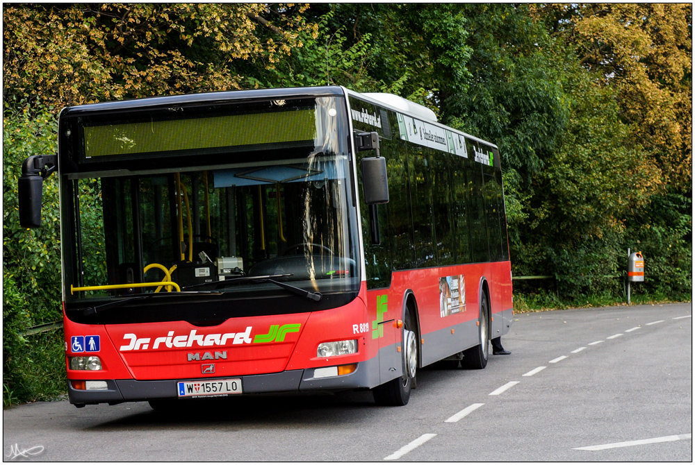 Bild 19