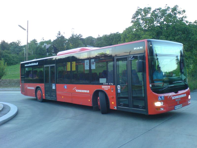 42B Lion 5