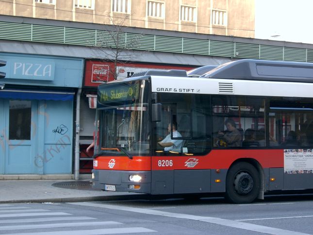 74A 8206