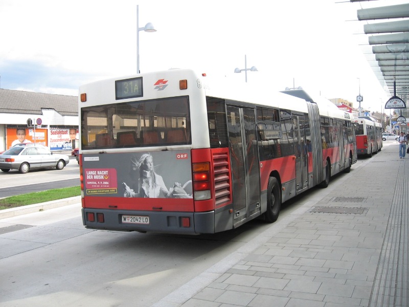 NV 7